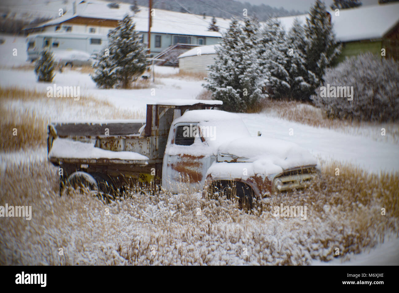 A 1953 Ford dump truck, in a snow-covered field, in Philipsburg, Montana. Stock Photo