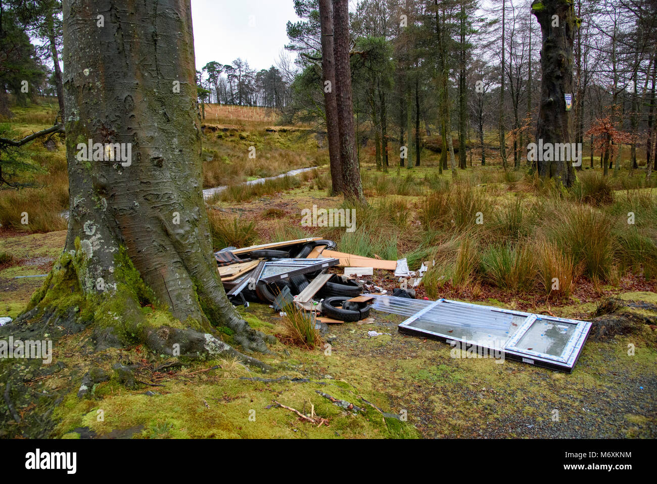 Fly tipping in an Area of Outstanding Natural Beauty. Rubbish dumped in the Forest of Bowland, Marshaw, Lancaster, Lancashire, United Kingdom Stock Photo