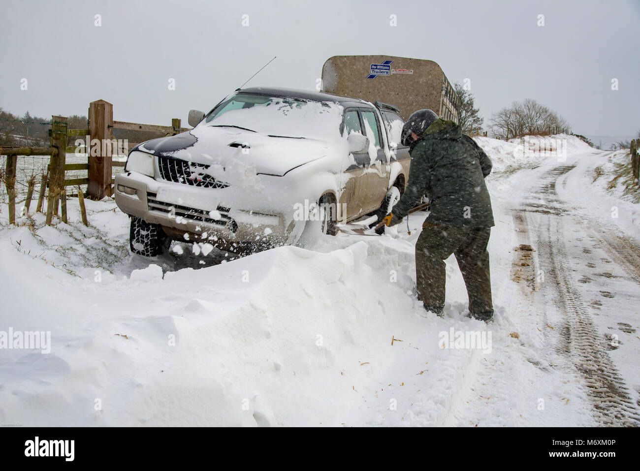 A farmer digs his four wheel drive vehicle and livestock trailer out of the drifting snow at Chipping, Preston, Lancashire. Stock Photo