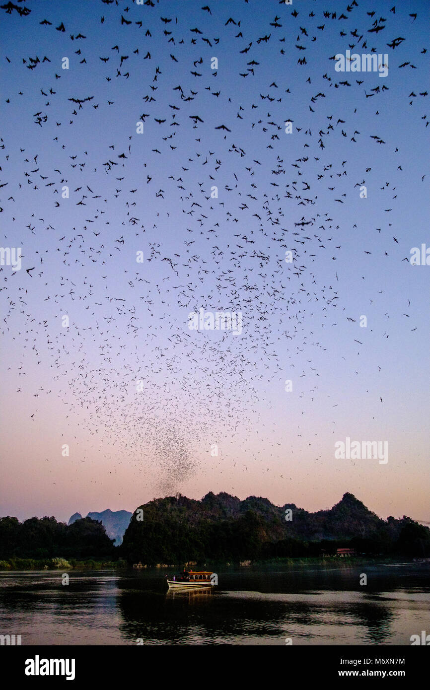 Millions of bats in big swarms are leaving Bat Cave every evening after sunset, crossing the Saluen Thanlyin river Stock Photo