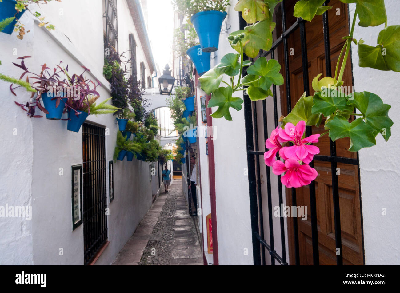 Flower street, Calleja de las flores, Cordoba, Andalucia, Spain Stock Photo