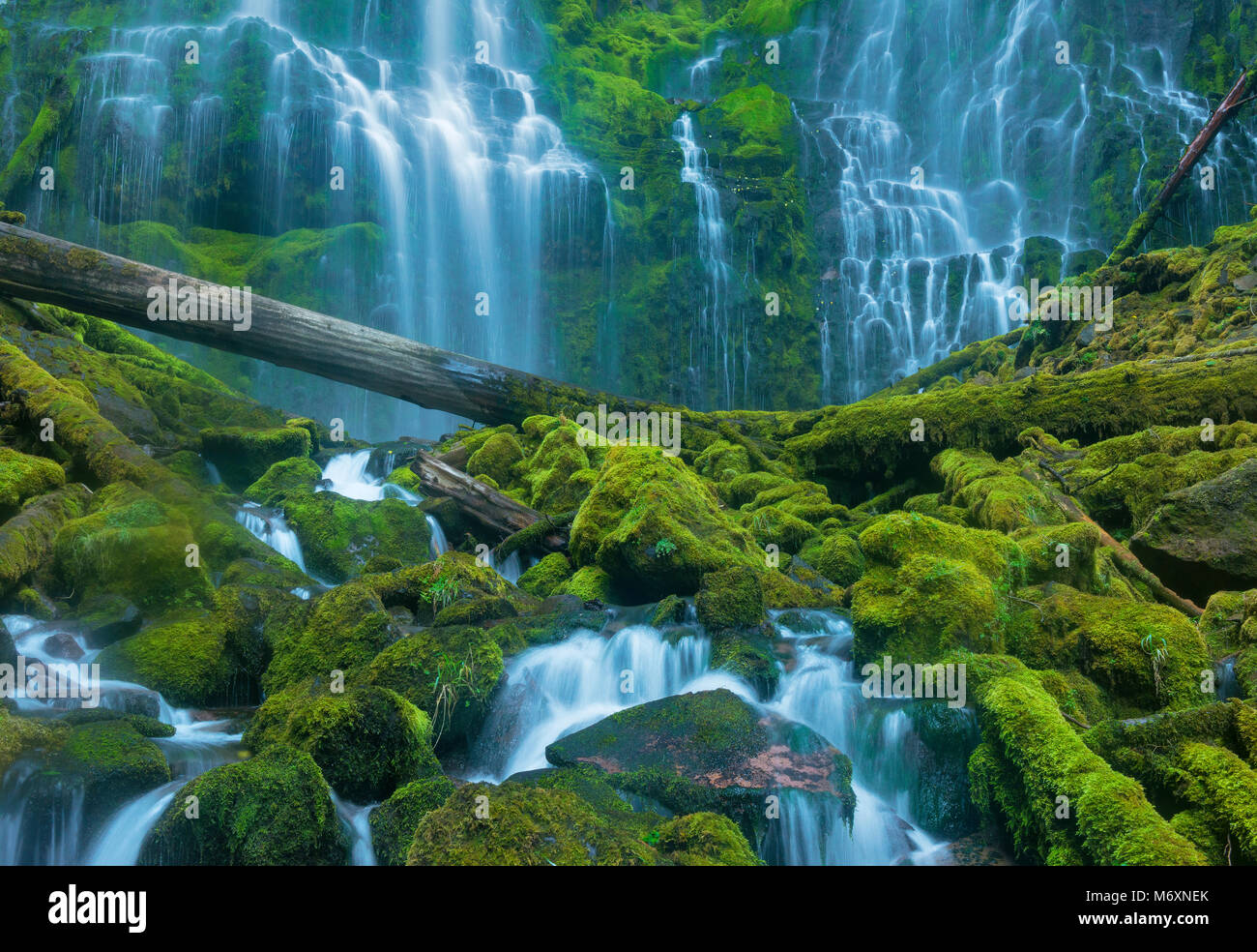 Proxy Falls, Three Sisters Wilderness, Willamette-Deschutes National Forest, Oregon Stock Photo