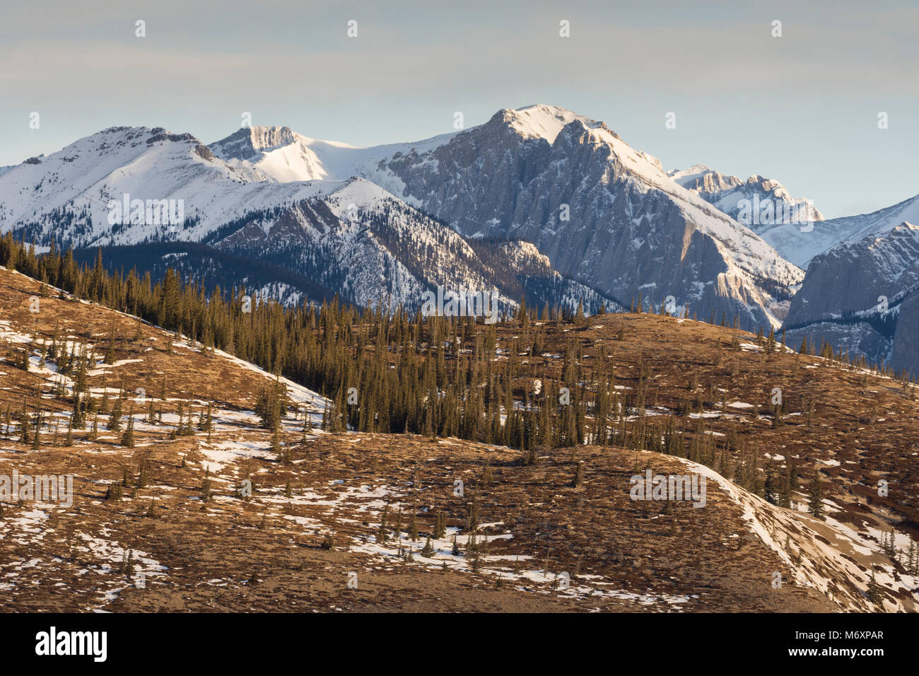 Landscape Alberta Foothills High Resolution Stock Photography and