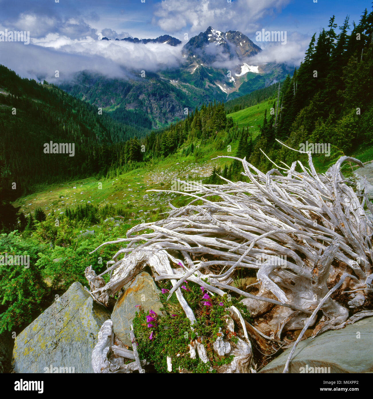 La crosse hires stock photography and images Alamy