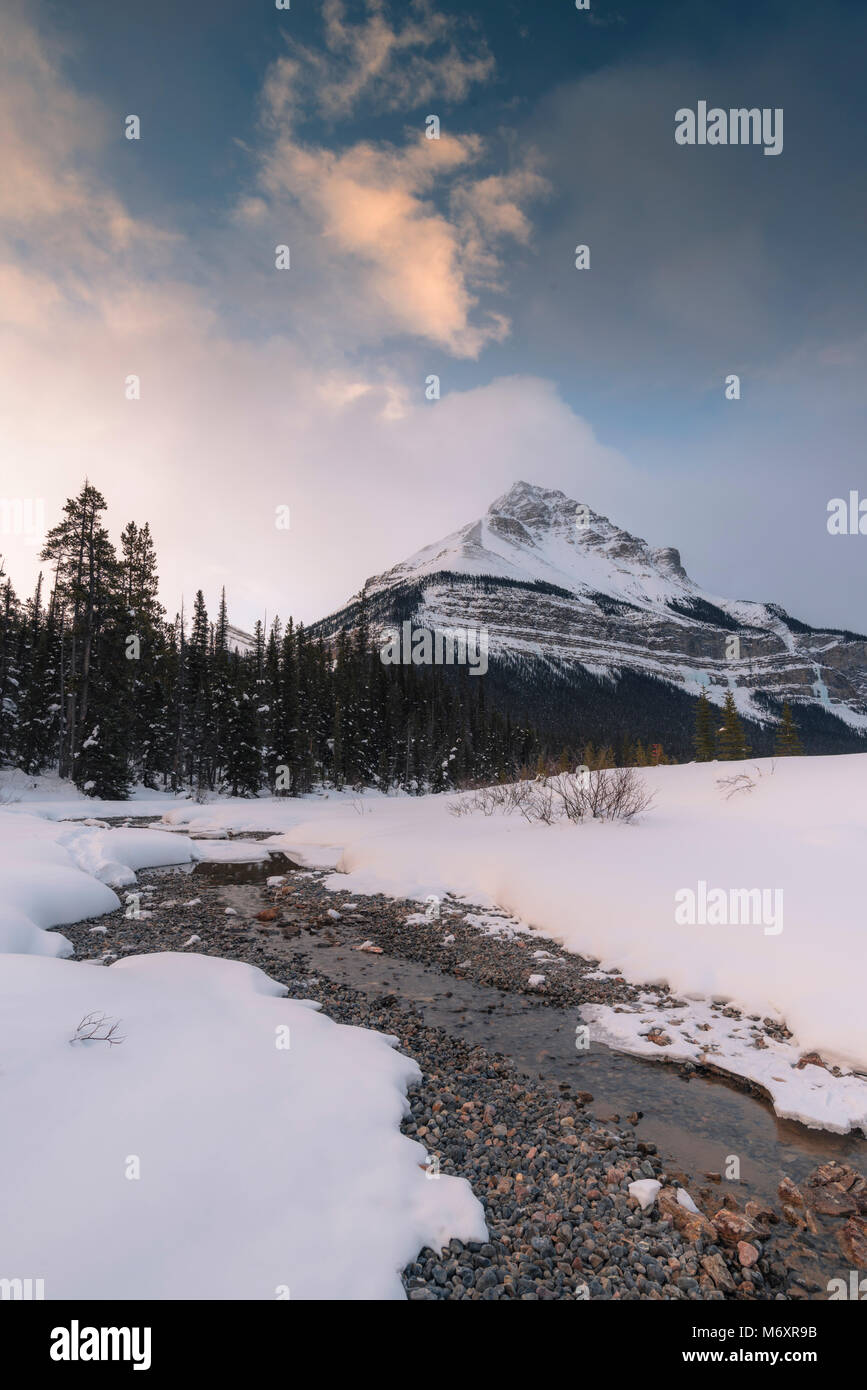 Vertical winter landscape of Tangle Peak and Beauty Creek at sunset, Jasper National Park, Canada Stock Photo