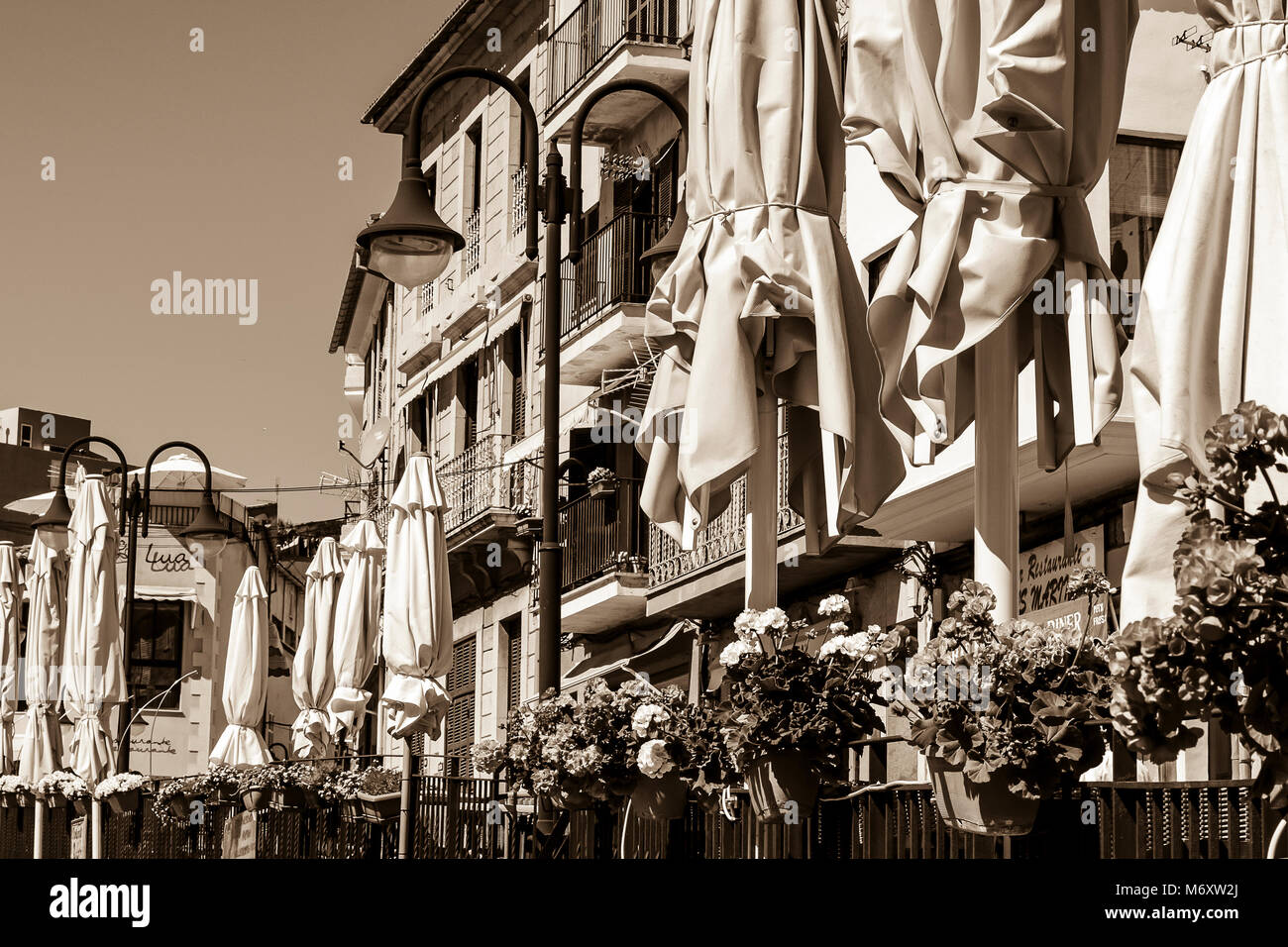 Port of Soller B&W Stock Photo Alamy
