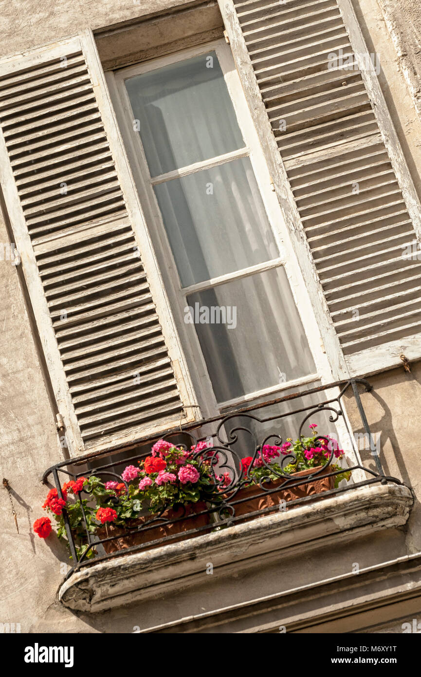 PARIS, FRANCE -  MAY 06, 2011: Open window shutters and window box in the Le Marais Quarter Stock Photo