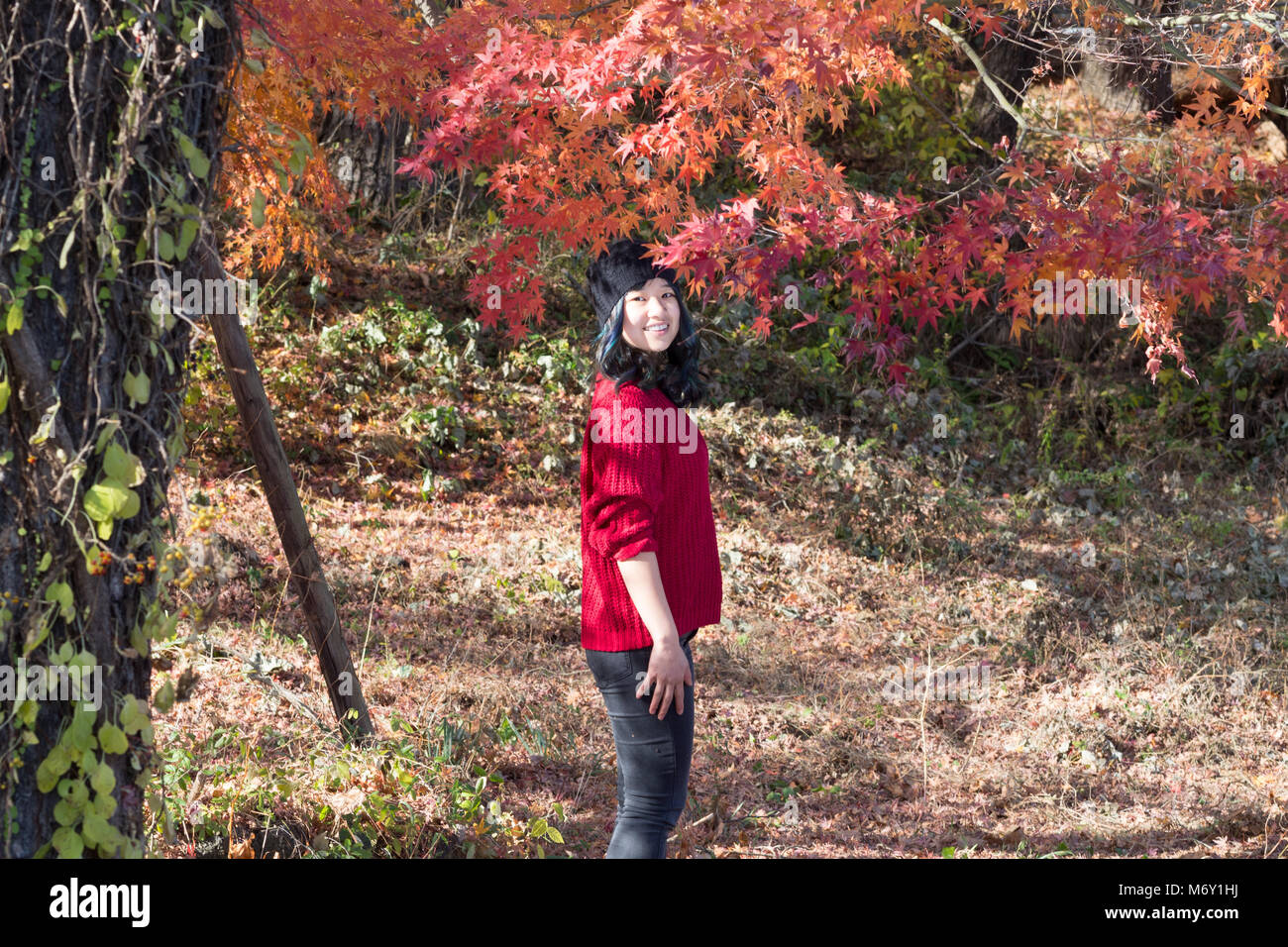 Young female posing in front of beautiful trees in Autumn when the ...