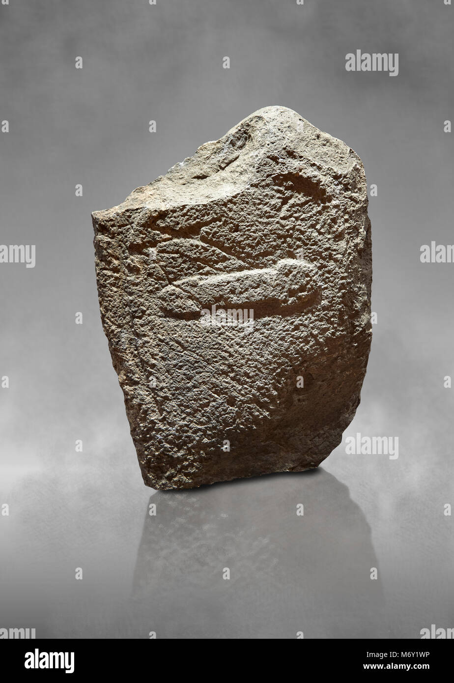 Menhir Rocks Late European Neolithic prehistoric Menhir standing stone with carvings ...