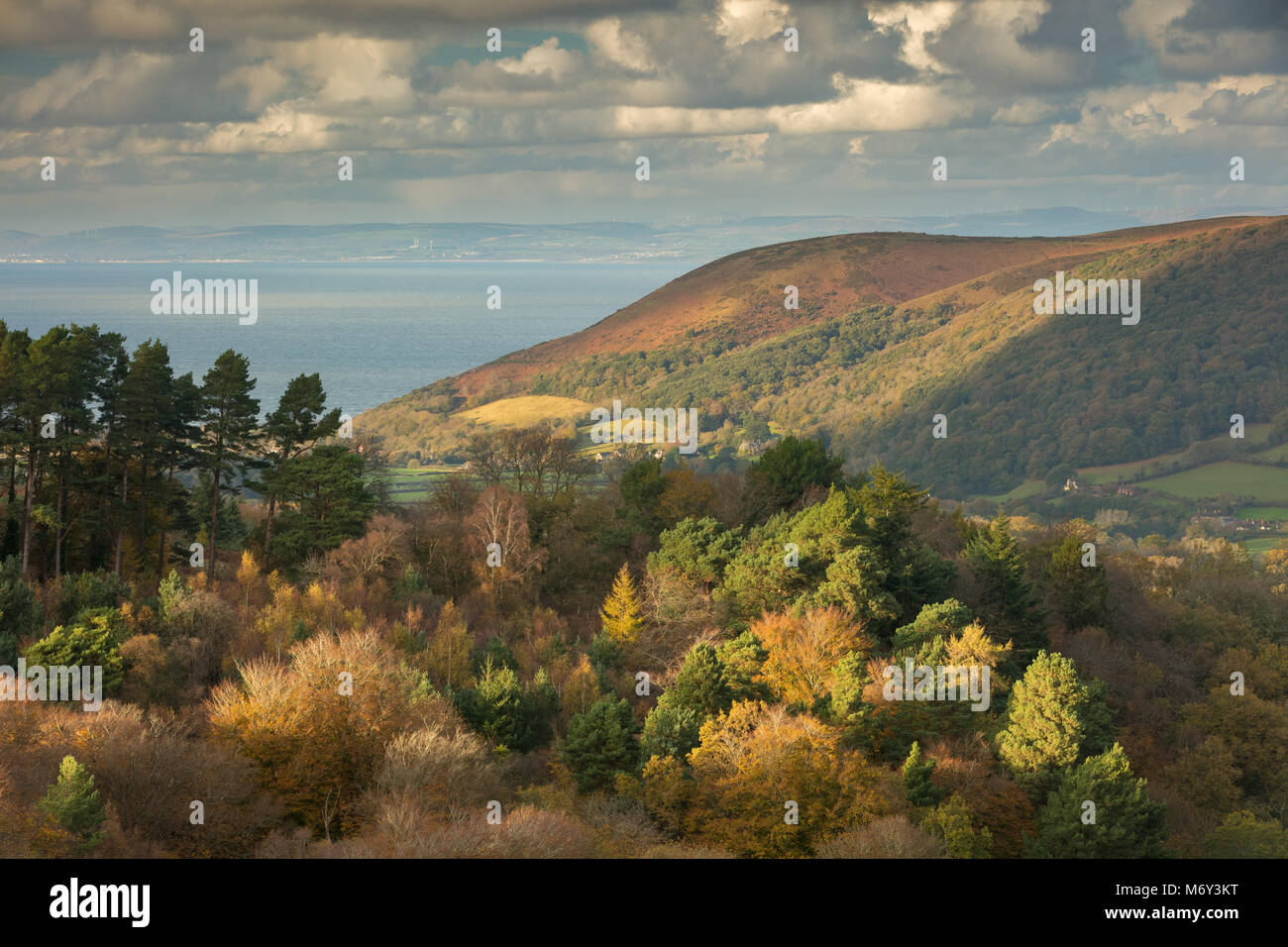 Autumn colours on Luccombe Hill with Bossington Hill, the Bristol Channel and Wales beyond, Exmoor, Somerset, England, UK Stock Photo