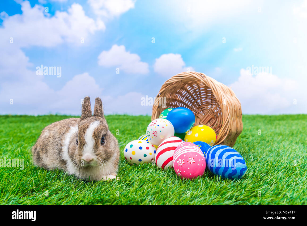Rabbit and easter eggs in green grass with blue sky Stock Photo - Alamy