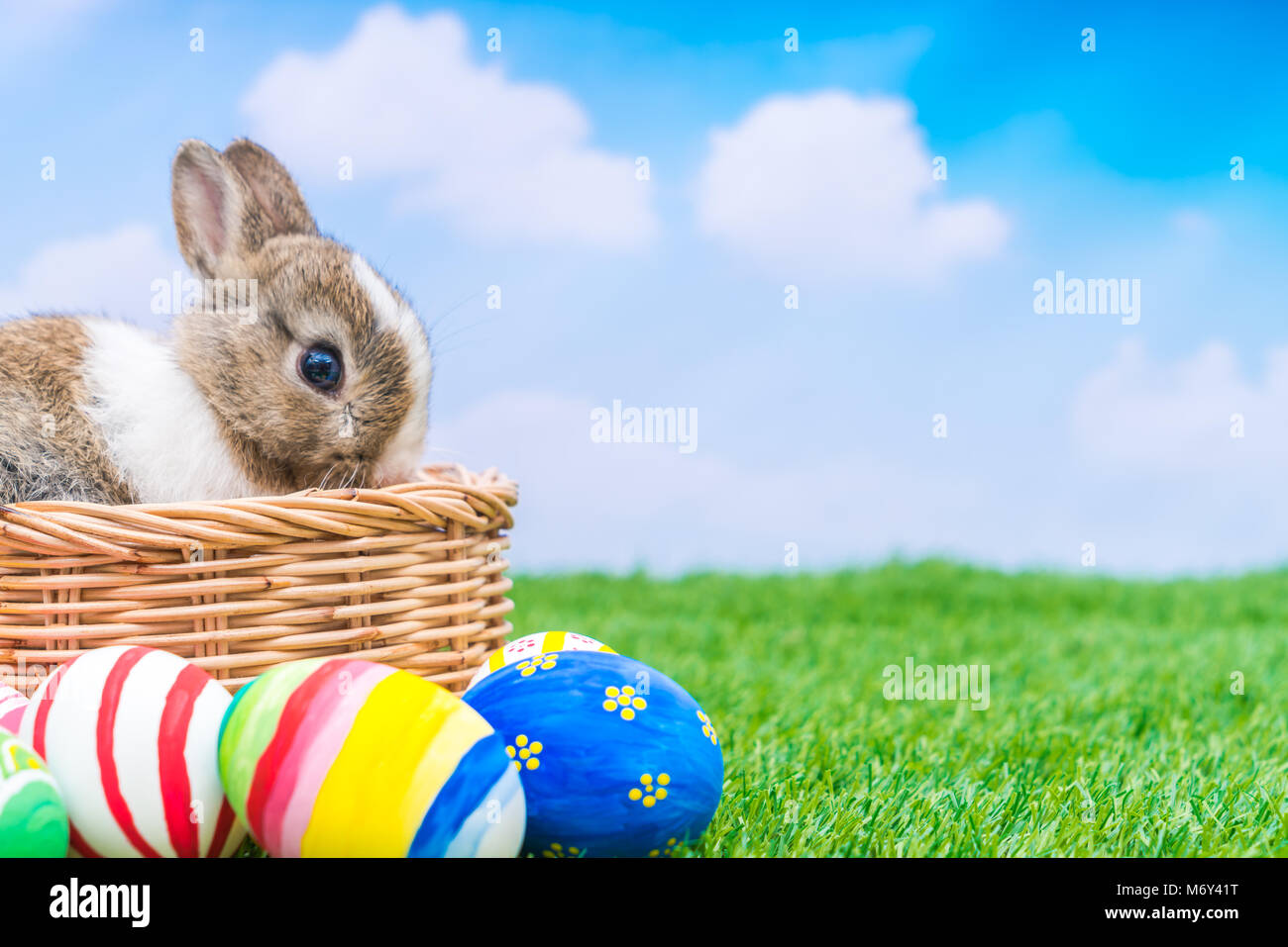 Rabbit and easter eggs in green grass with blue sky Stock Photo - Alamy