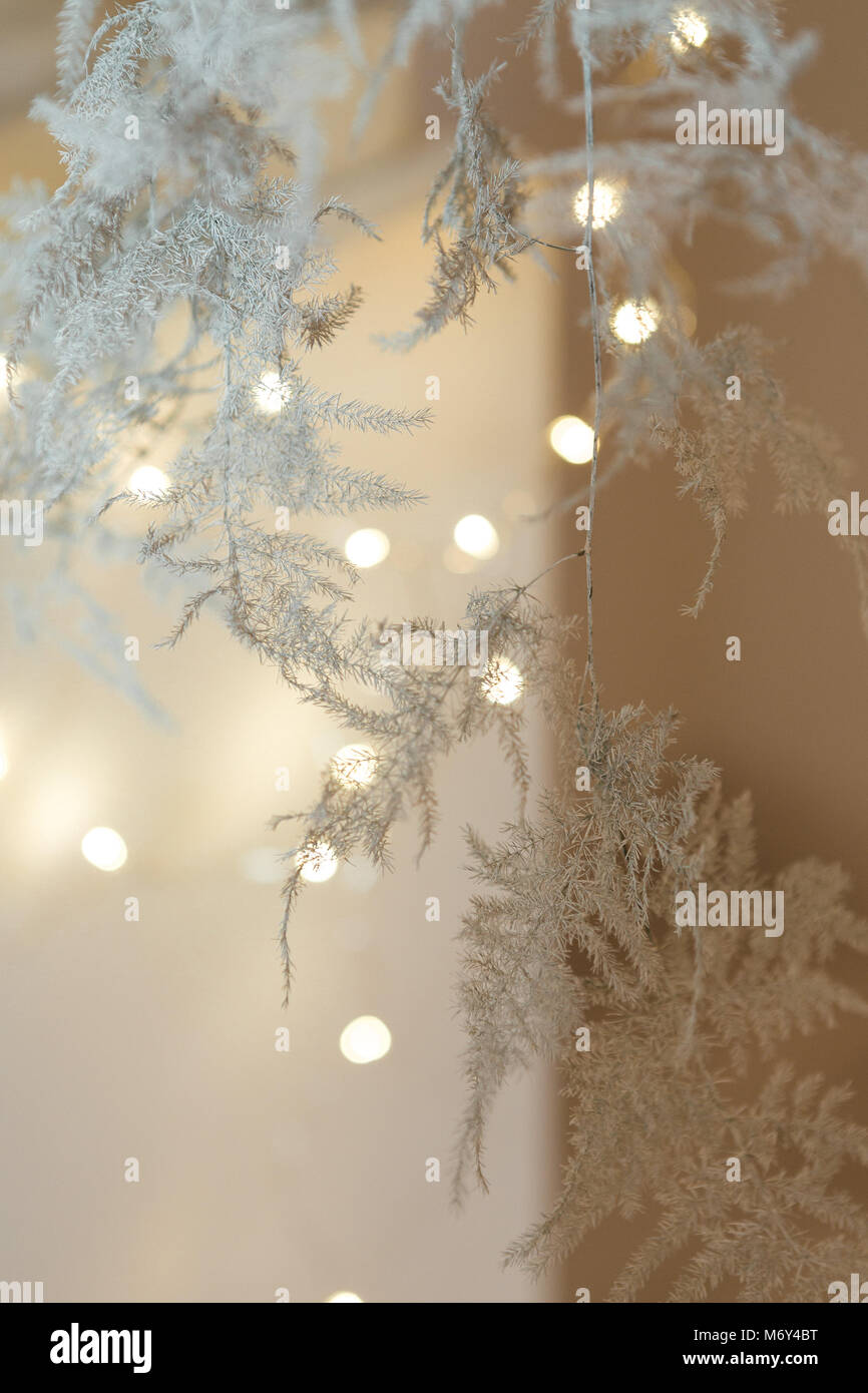 blurred bokeh background Stock Photo - Alamy