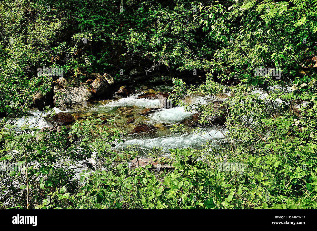 A Stream in Northern Italy Stock Photo