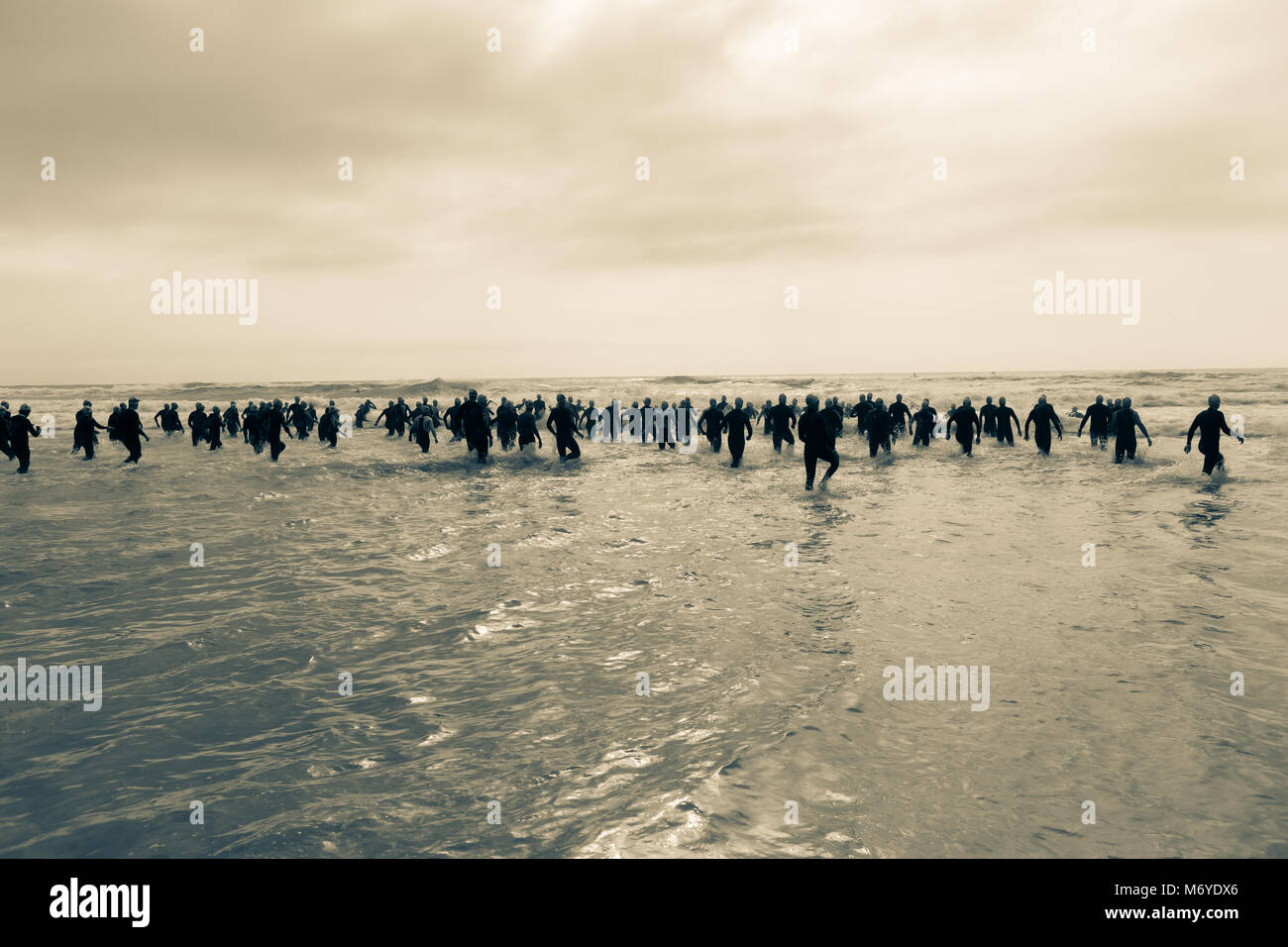 Women ocean swim race hi-res stock photography and images - Alamy