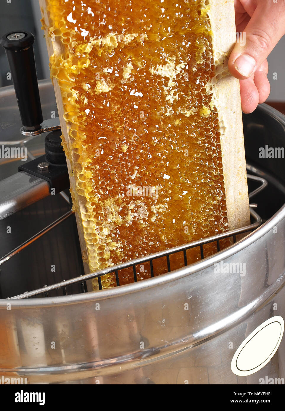 Uncapped honeycomb in honey extractor Stock Photo