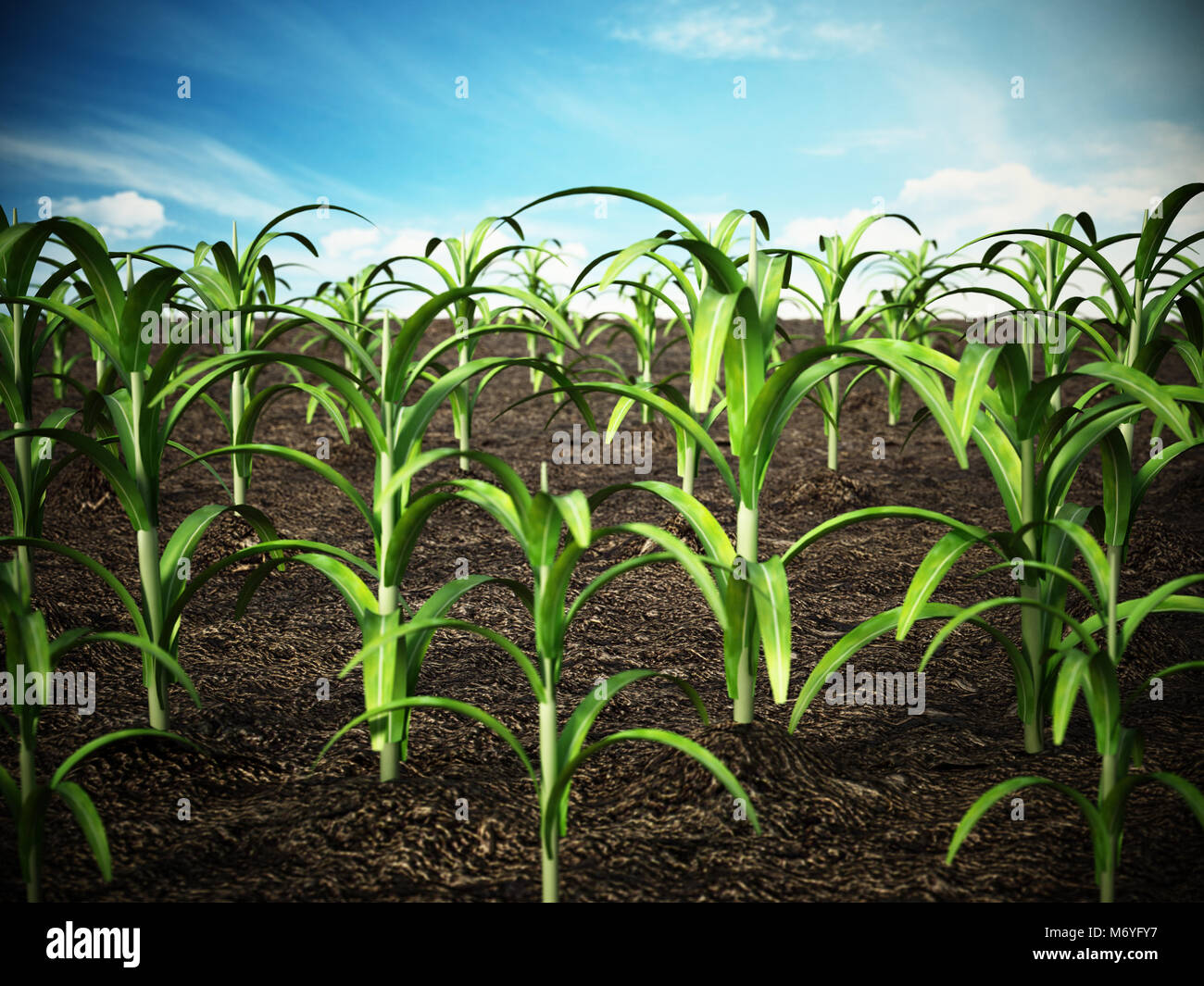 Green field with depth of field effect. 3D illustration Stock Photo Alamy