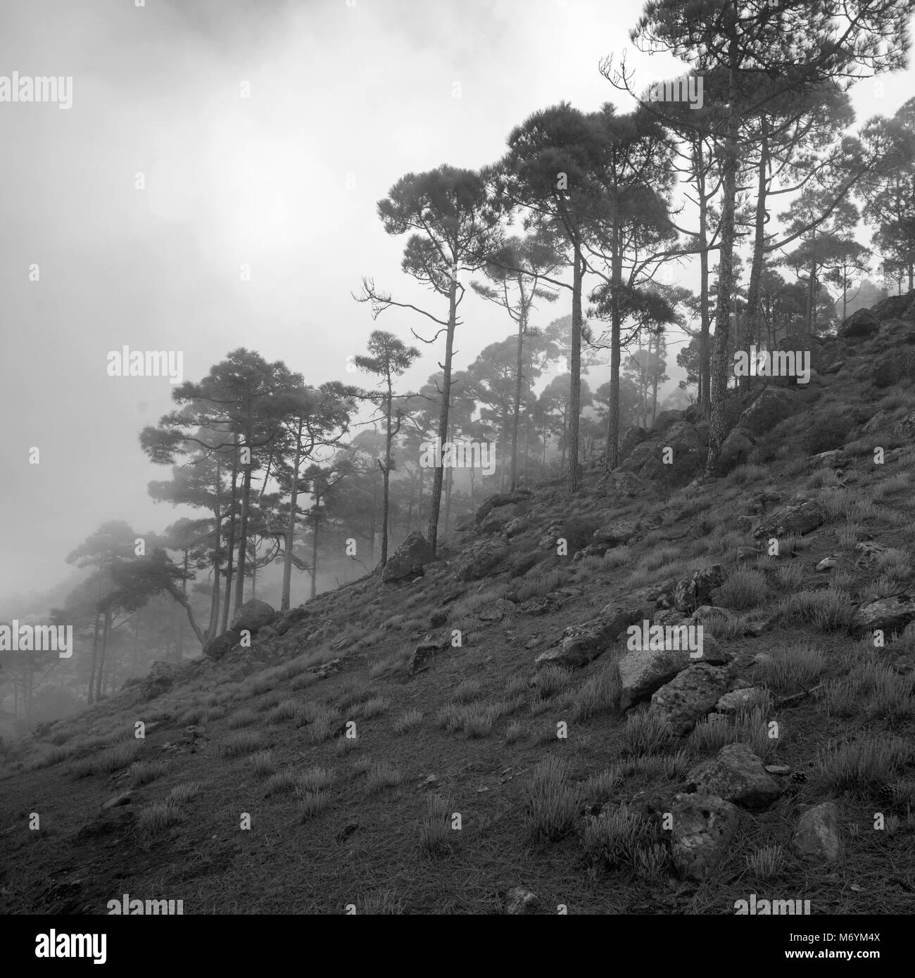 West of Gran Canaria, February 2018, integral Nature Reserve Inagua Stock Photo