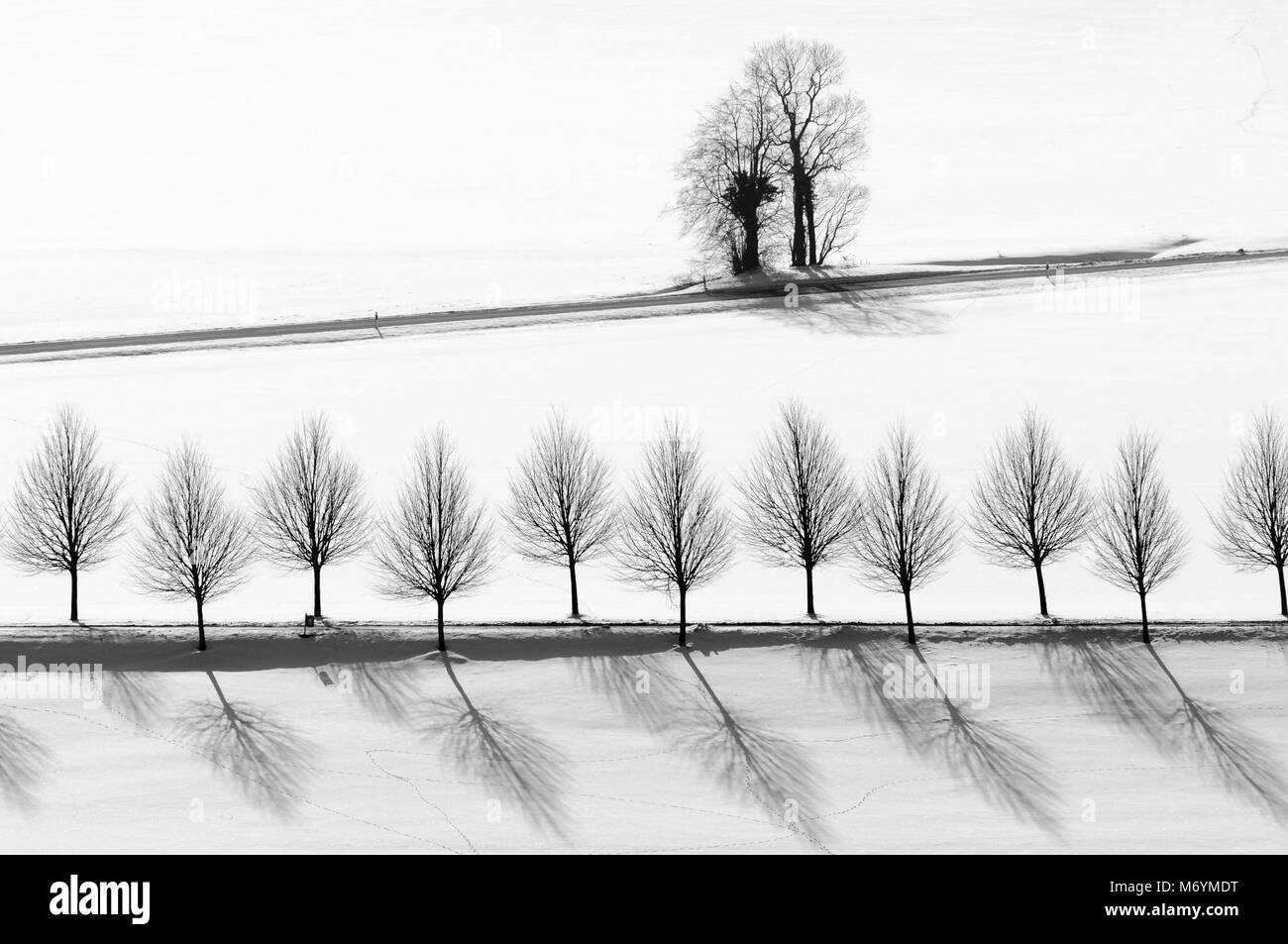 Hessische Rhön, verschneite Bäume, Hessen, Deutschland, Europa Stock Photo