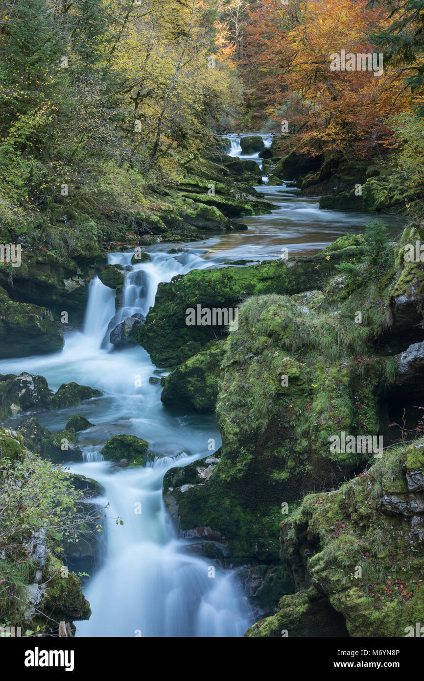 Autumn colours in the Pertes de l'Ain, Jura, Franche-Comté, France Stock Photo