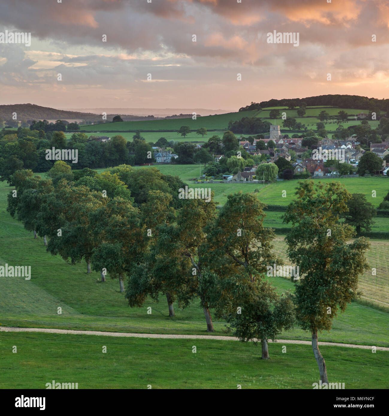 Milborne Port on a summer's evening, Somerset, England, UK Stock Photo Alamy