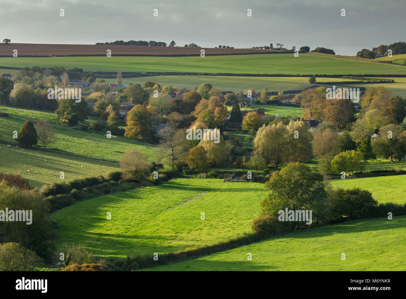 Autumn, Poyntington, Dorset, England, UK Stock Photo
