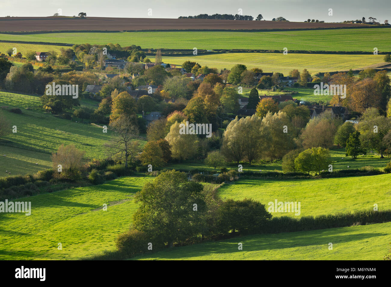 Autumn, Poyntington, Dorset, England, UK Stock Photo