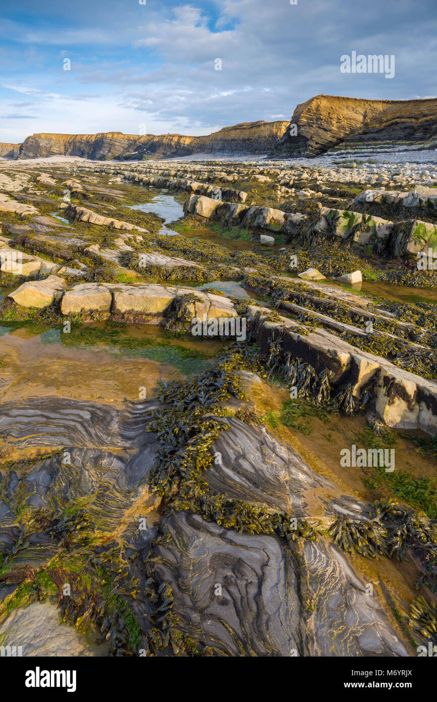 Rock formations on the Jurassic Coast of the Bristol Channel at Kilve Beach, Somerset, England. Stock Photo