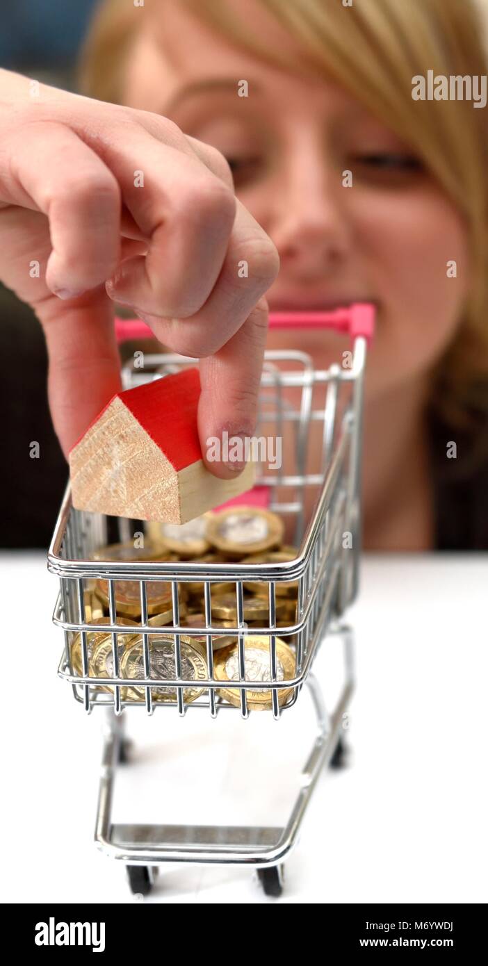 A small house being placed into a miniature shopping trolley house buying concept Stock Photo