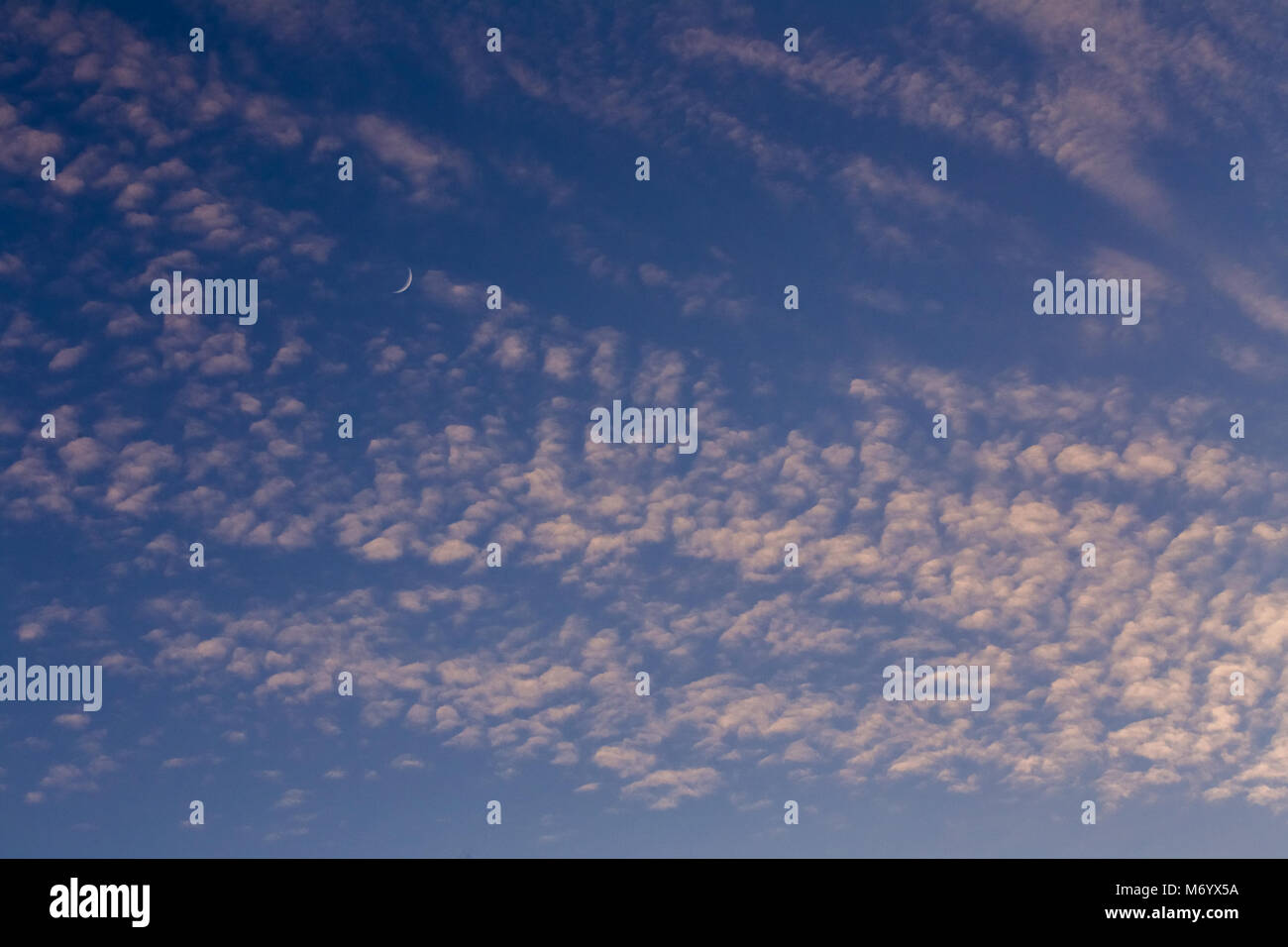 Rare cirrus clouds against a blue sky Stock Photo - Alamy