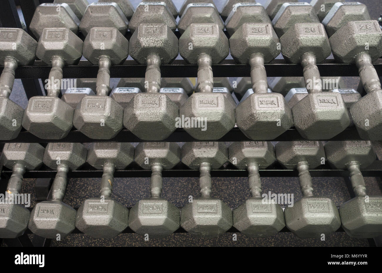 Poids Vintage YORK BARBELL - 10 Lbs - Années 10 - Strongman & Musculation