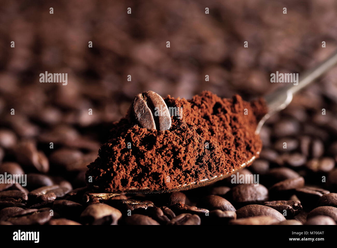 Coffee beans pile on the background of ground coffee Stock Photo Alamy