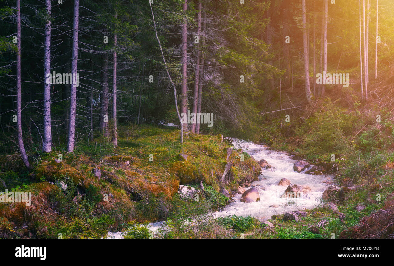 Beautiful River In Forest Nature Peaceful Toned Nature Background Stock Photo Alamy