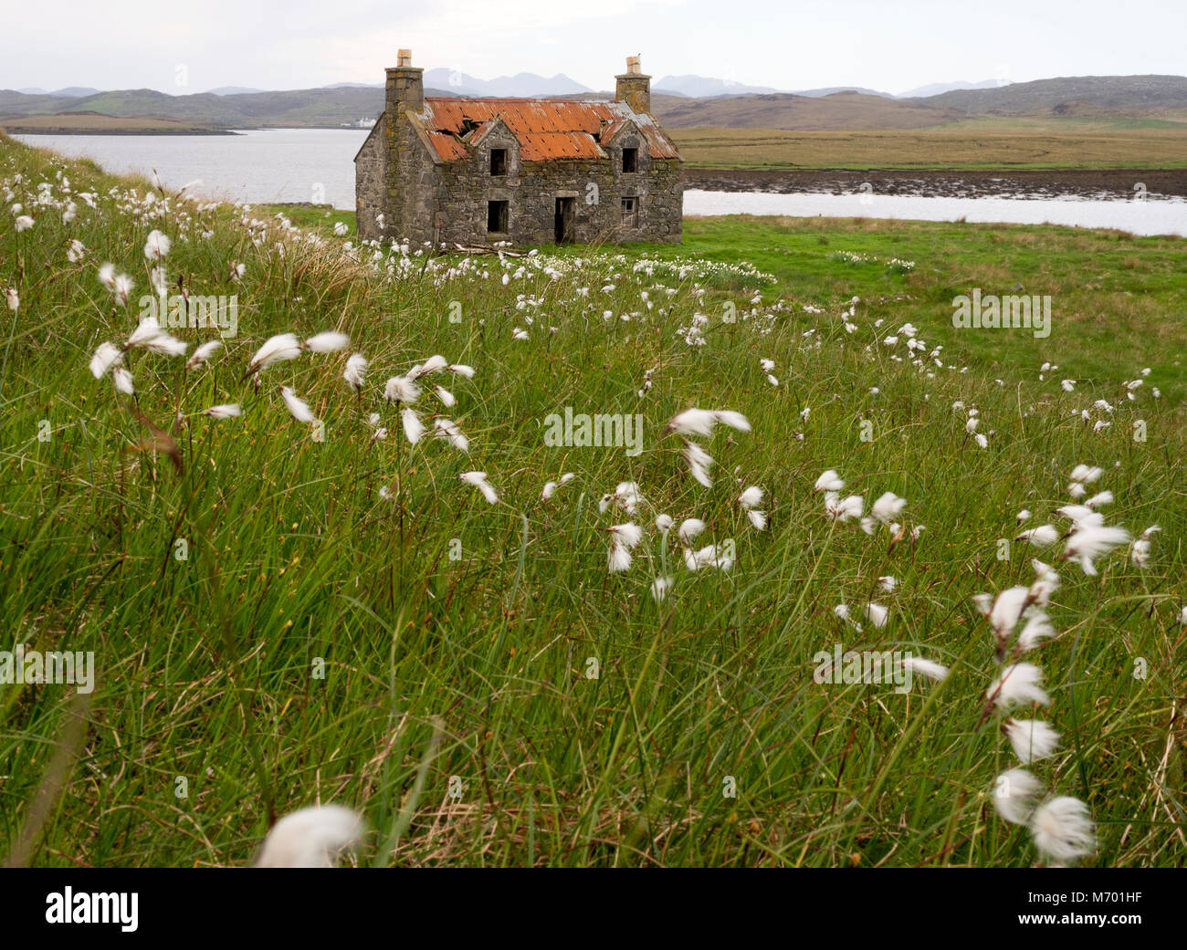 Stone cottage in a field of cotton grass Harris Outer Hebrides Scotland