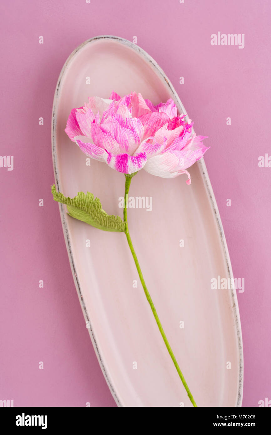 Peony Dahlias High Resolution Stock Photography and Images - Alamy