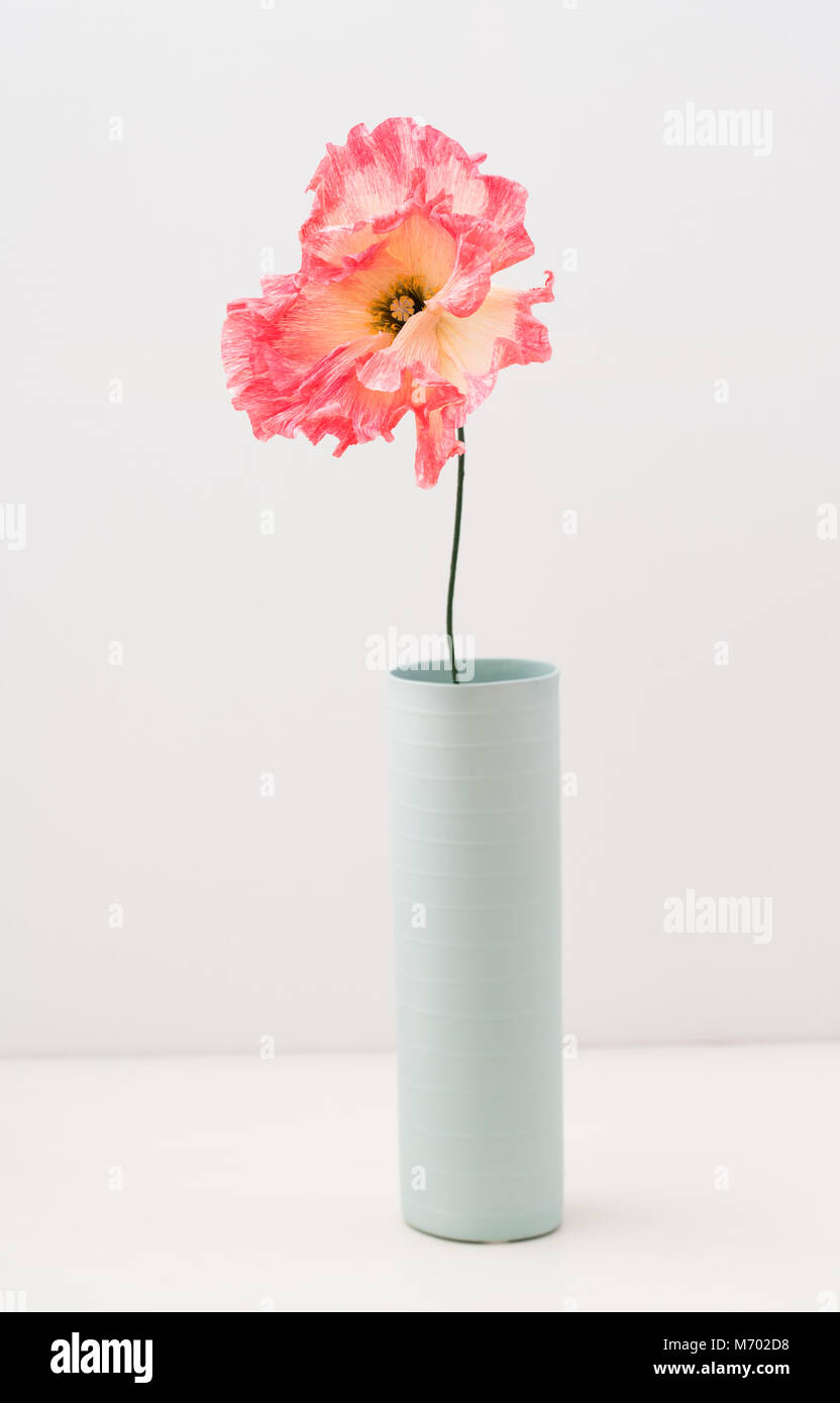 Single crepe paper poppy Stock Photo