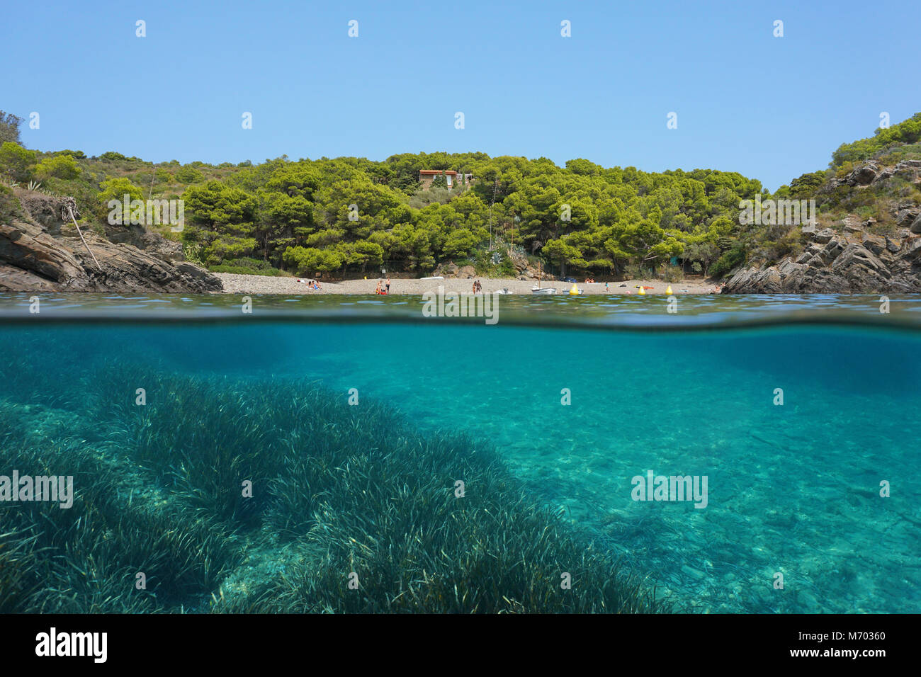 Mediterranean sea peaceful cove with seagrass underwater, split view above and below water surface, Spain, Costa Brava, Cala Guillola, Cadaques Stock Photo