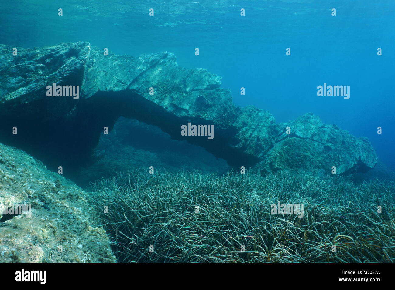 Natural rock formation underwater, an arch on the seabed with neptune grass in the Mediterranean sea, Catalonia, Cap de Creus, Costa Brava, Spain Stock Photo