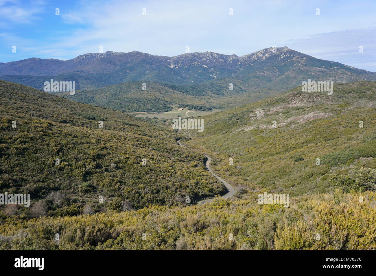 Landscape a path leading to a valley at the bottom of the Albera massif, Spain, Catalonia, Alt Emporda, Girona Stock Photo