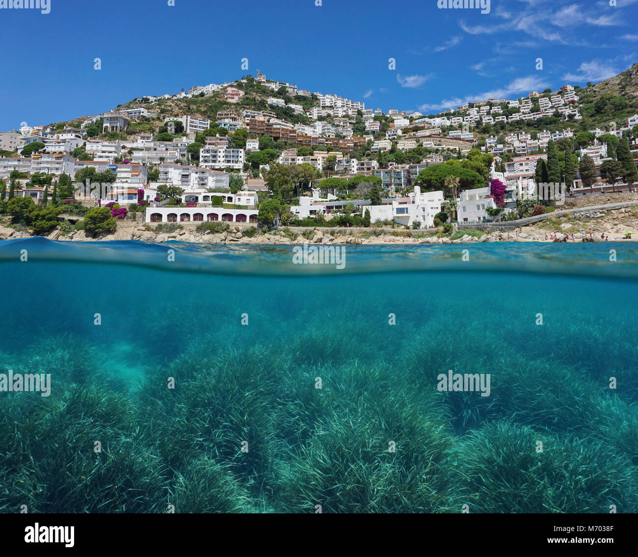 Spain coastline with buildings on the Costa Brava and neptune grass meadow underwater, split view above and below water surface, Mediterranean sea Stock Photo
