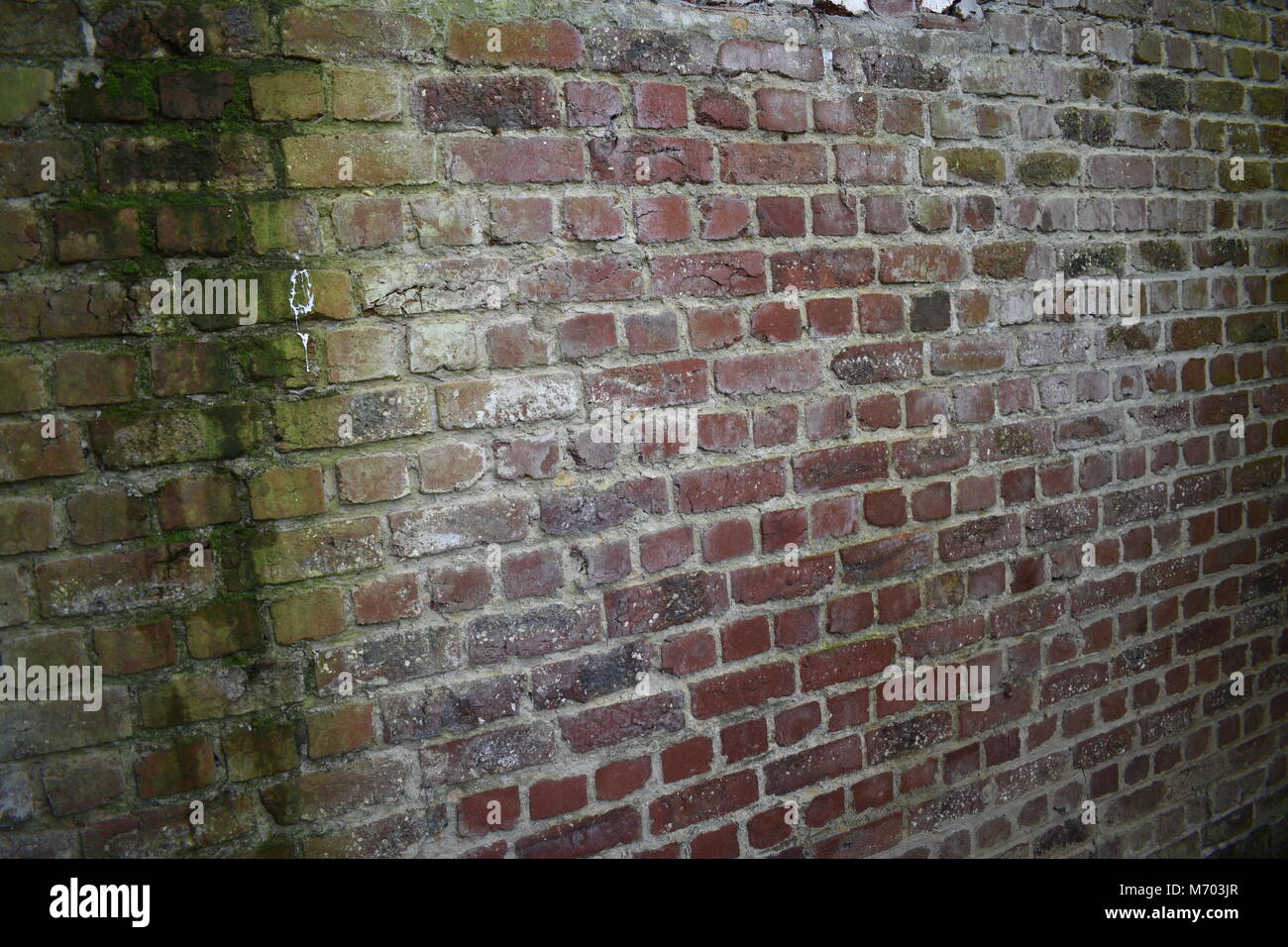Old brick wall with signs of moisture penetration which grows moss Stock Photo
