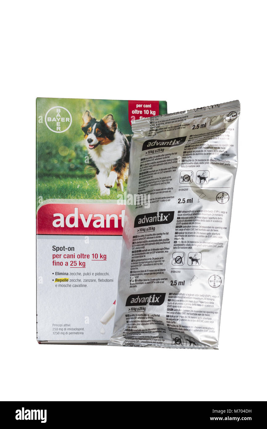 Advantix pack by Bayer for dog well-being of the dog Stock Photo