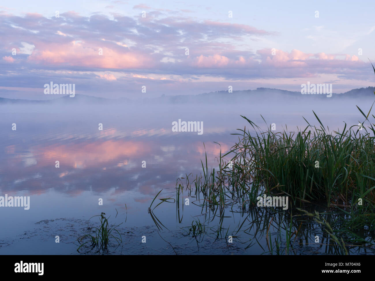 Fog over the river before summer dawn Stock Photo - Alamy