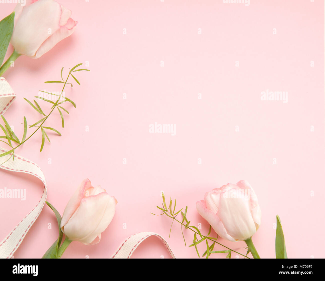 Festive flower pink tulips composition on the light pink background.  Overhead top view, flat lay. Copy space. Birthday, Mother's, Valentines,  Women's Stock Photo - Alamy