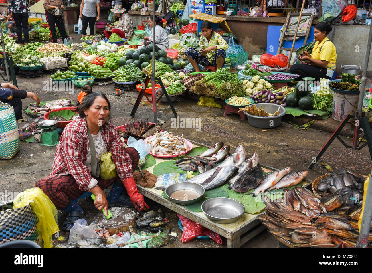 Battambang, Cambodia - 15 January 2018: lady selling fish at the market of Battambang on Cambodia Stock Photo