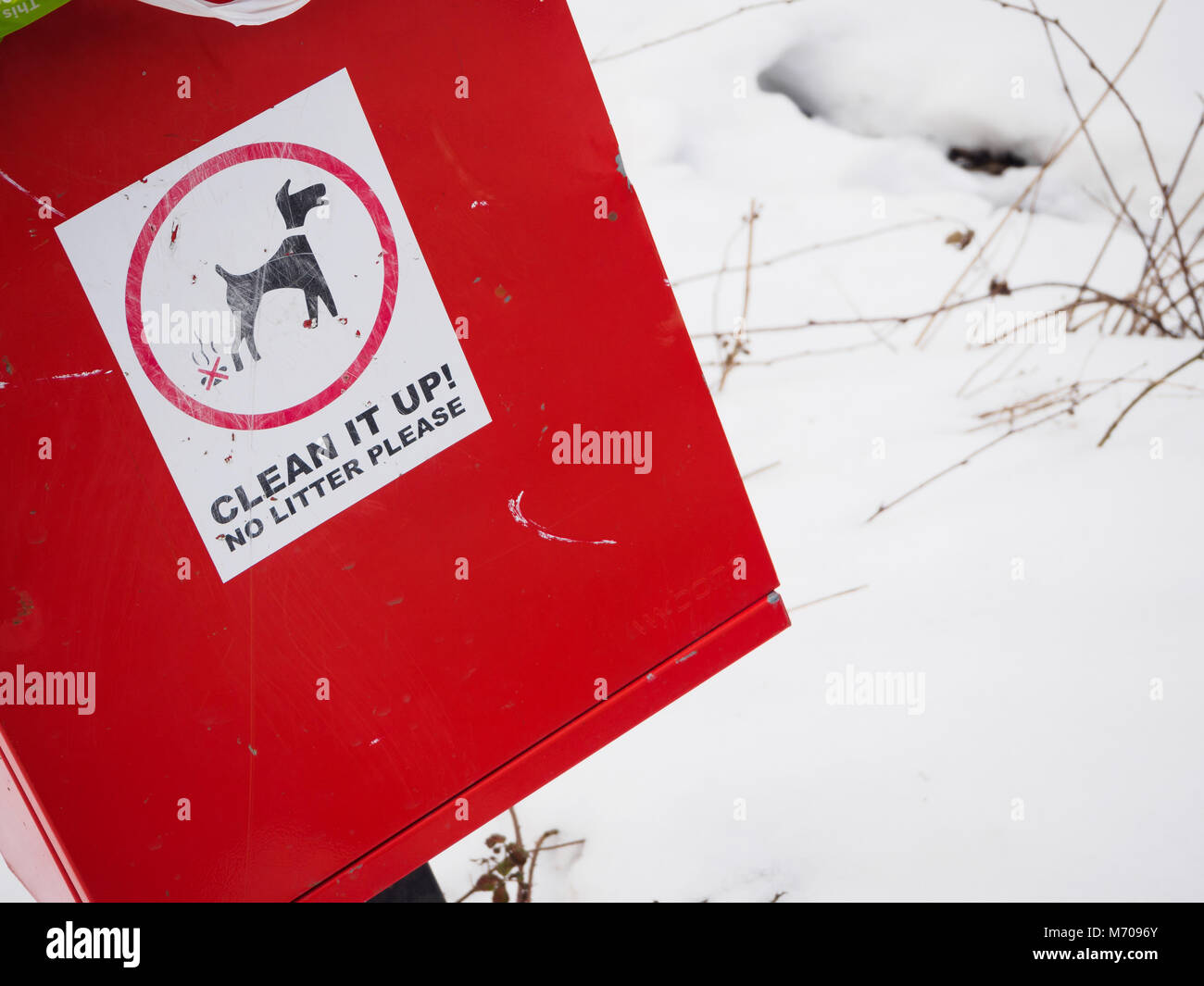 How To Clean Up Dog Poop After It Snows