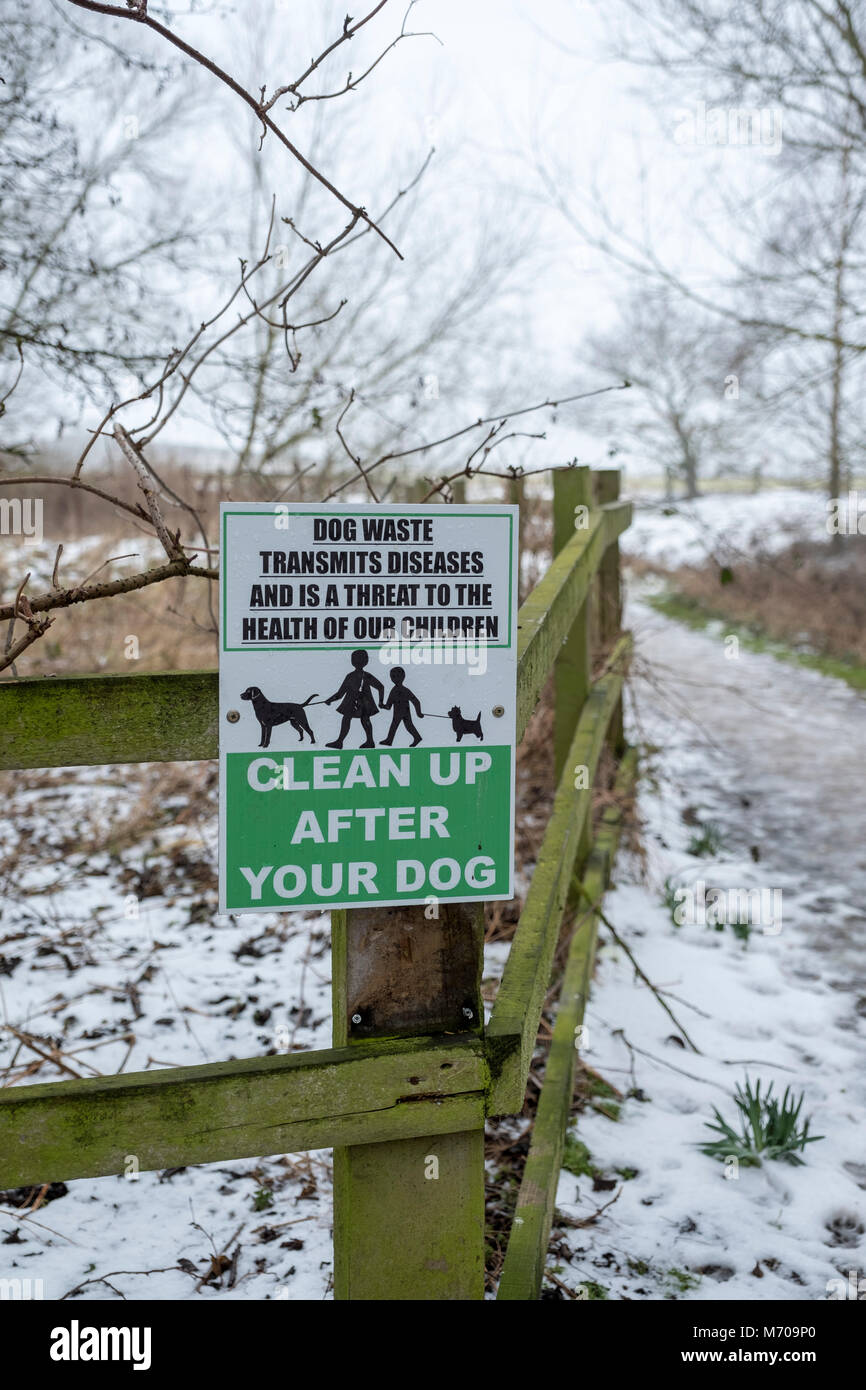 How To Clean Up Dog Poop After It Snows