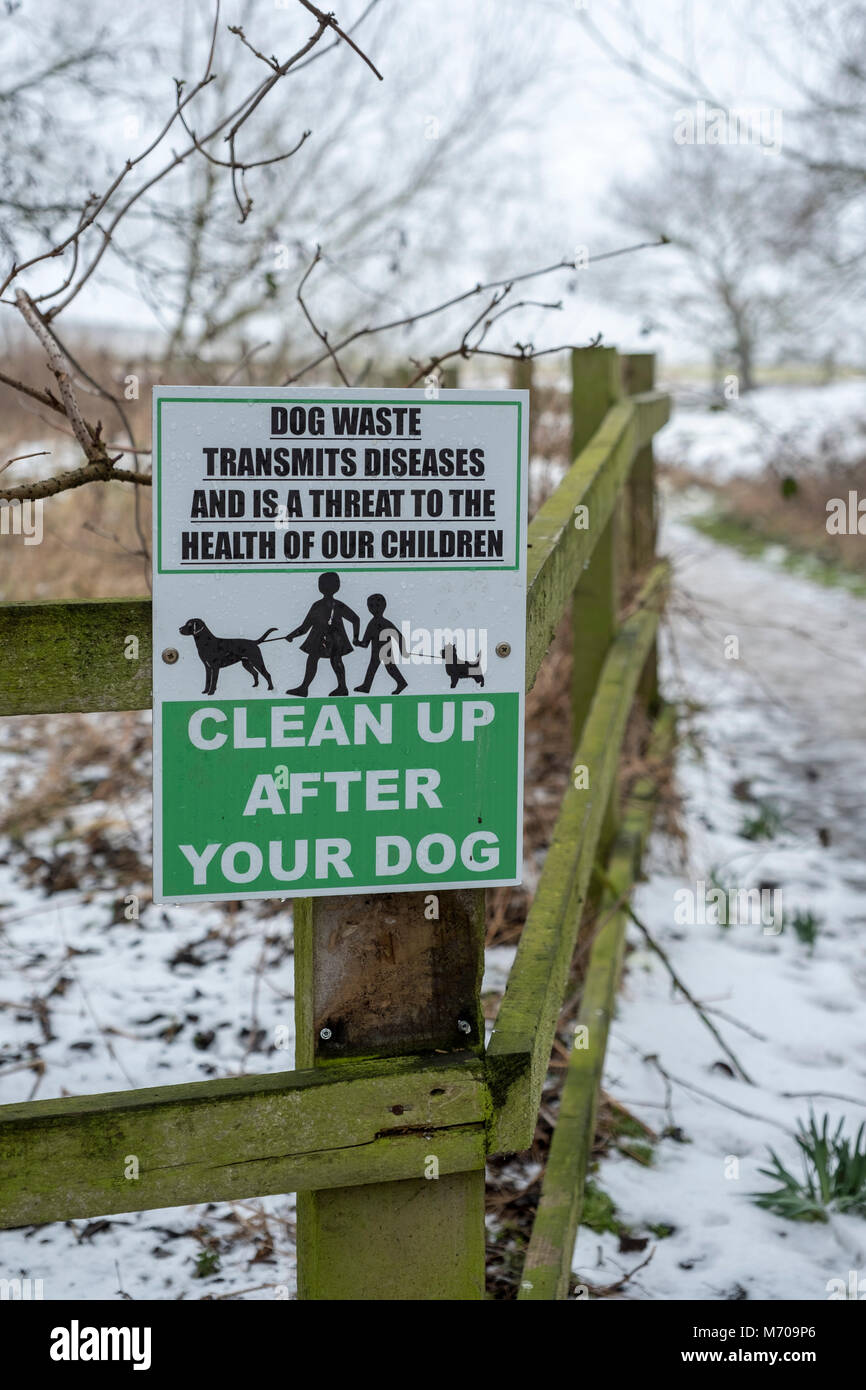 How To Clean Up Dog Poop After It Snows