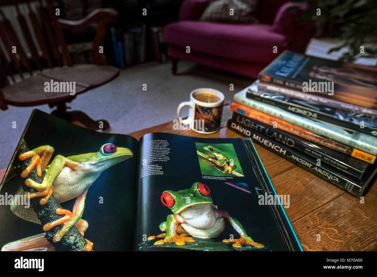 Open non-fiction hardcover coffee table book about wildlife photography showing animals in living room at home Stock Photo