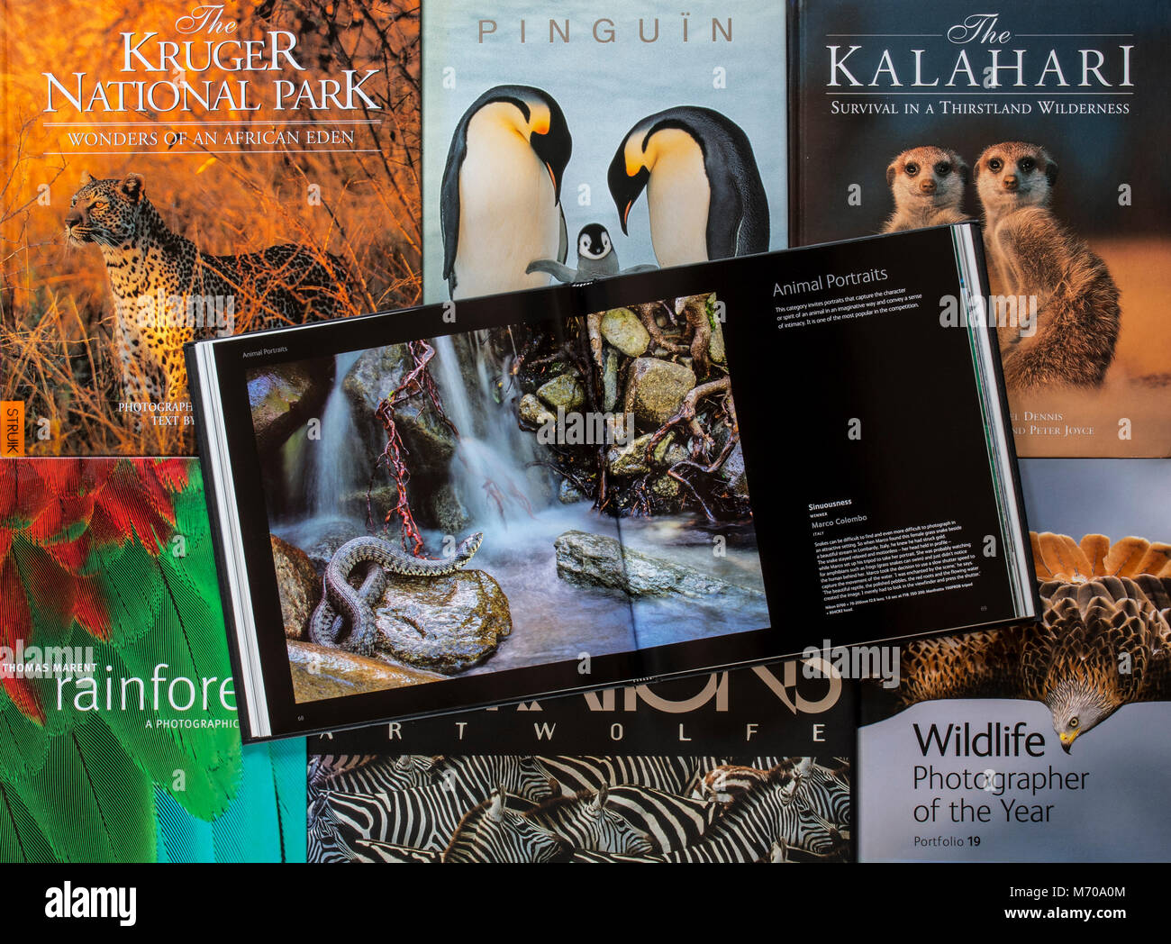 Collection of non-fiction hardcover coffee table books about wildlife photography showing animals Stock Photo